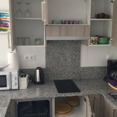 Magnifique Logement Roses